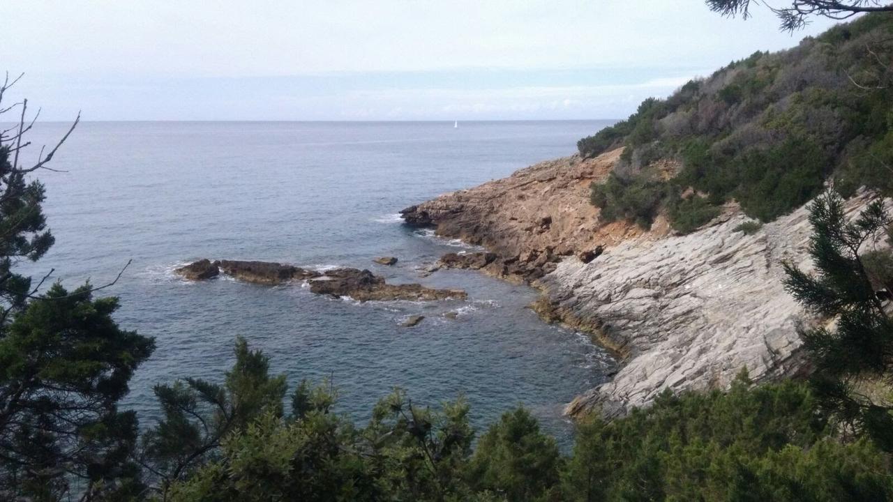 Casa San Giuseppe - Isola D'Elba Hotel Cavo Exterior foto